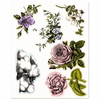 Anna Griffin Treillage Die Cuts 212Pkg