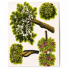Anna Griffin Treillage Die Cuts 212Pkg