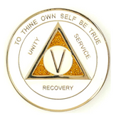 AA Recovery Coin Medallion | Sparkle Beige Gold