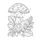 Creative Haven: The Art of Mushrooms Coloring Book