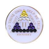 AA Nonbinary Flag White Crystal Sobriety Anniversary Coin