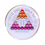 AA Lesbian Flag White Crystal Sobriety Anniversary Coin