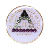 AA Asexual Flag White Crystal Sobriety Anniversary Coin