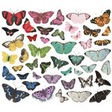Simple Stories Bits & Pieces Die-Cuts 44/Pkg | Butterfly Bits