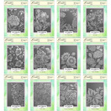 Lisa Horton Crafts A Year In Bloom - 2026 Limited Edition Embossing Folders