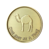 One Day At A Time Camel Antique Bronze Coin