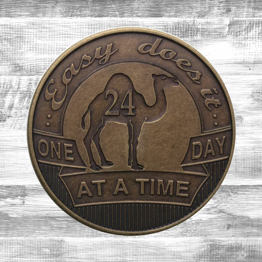 Camel One Day At A Time Bronze Coin