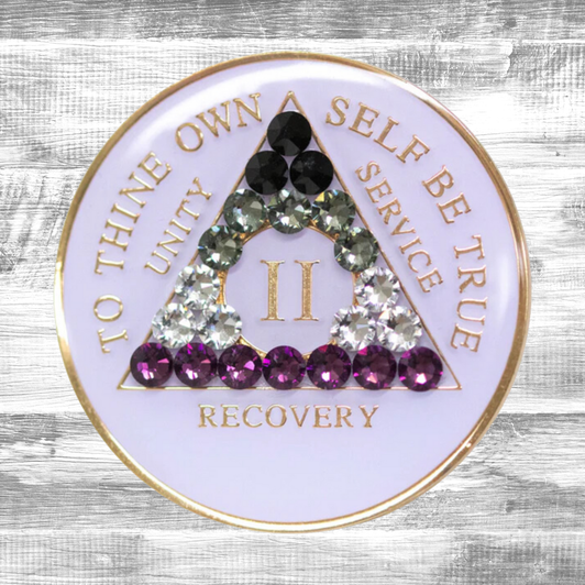 AA Asexual Flag White Crystal Sobriety Anniversary Coin