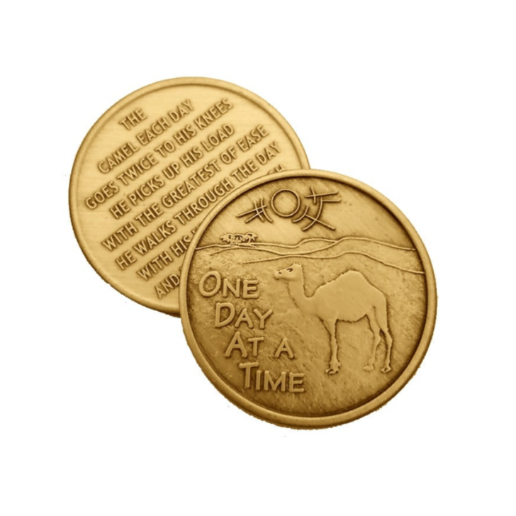 Alcoholics Anonymous AA ODAT Camel Poem Affirmation Coin - Antique Bronze Sobriety Medallion