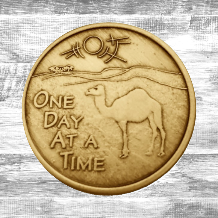 Alcoholics Anonymous AA ODAT Camel Poem Affirmation Coin - Antique Bronze Sobriety Medallion