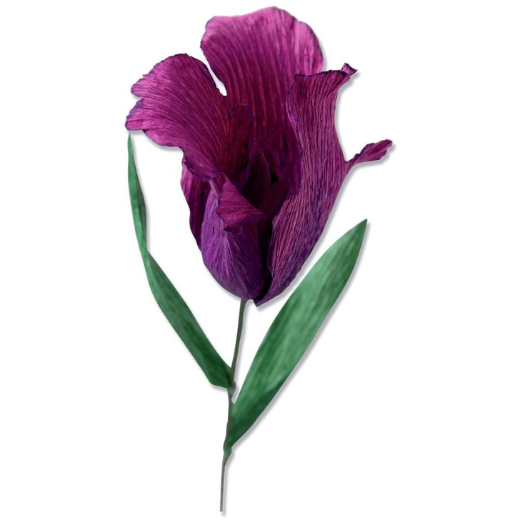 Sizzix Thinlits Fringed Tulip Dies By Olivia Rose 5/Pkg