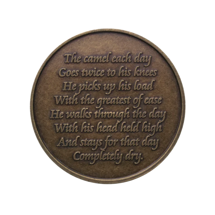 Alcoholics Anonymous AA Camel ODAT Affirmation Coin – Bronze Sobriety Medallion