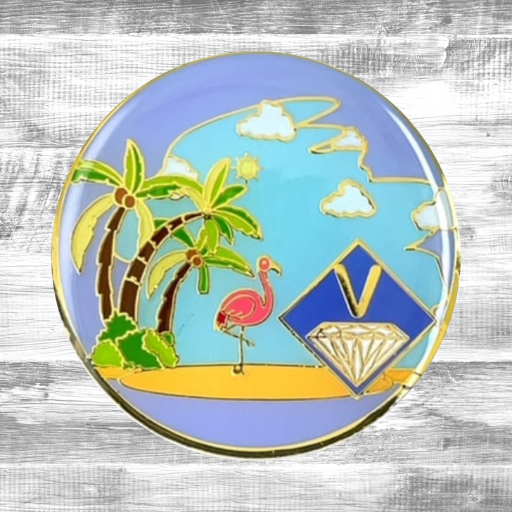 NA Beach Theme Coin Medallion