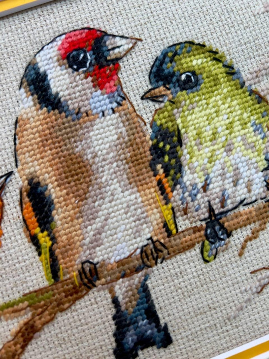 RIOLIS Birds Counted Cross Stitch Kit