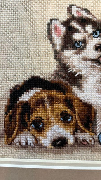 RIOLIS Puppies Counted Cross Stitch Kit