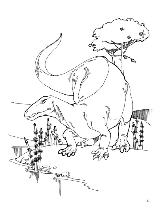 Dover Dinosaurs Coloring Book