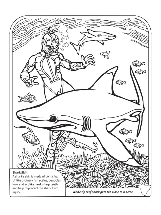 Dover 3D Coloring Book | Sharks