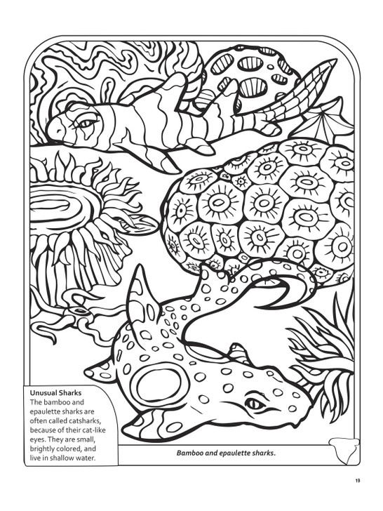 Dover Sharks 3D Coloring Book