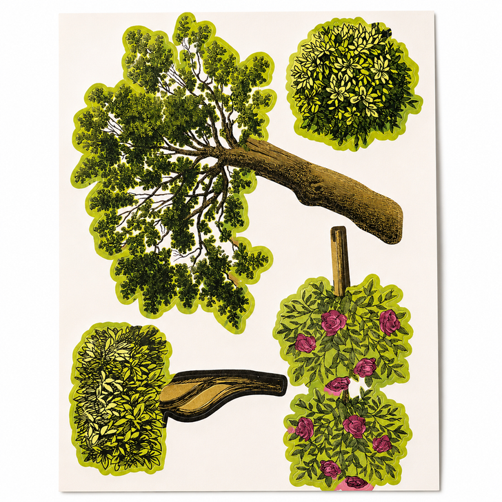Anna Griffin Treillage Die Cuts 212Pkg