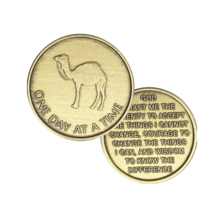 Alcoholics Anonymous AA ODAT Camel Affirmation Coin - Antique Bronze Sobriety Medallion