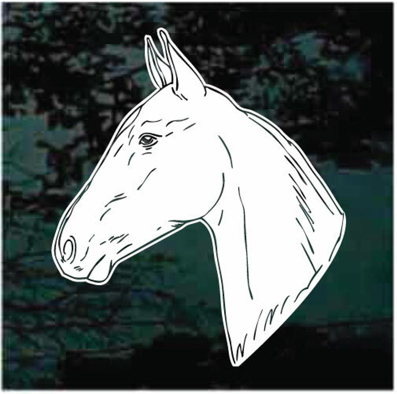 American Saddlebred Horse Decals