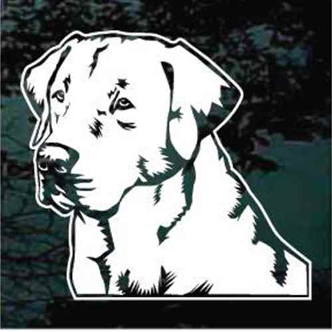 Attractive Labrador Retriever Head Decals & Car Stickers Decal Junky