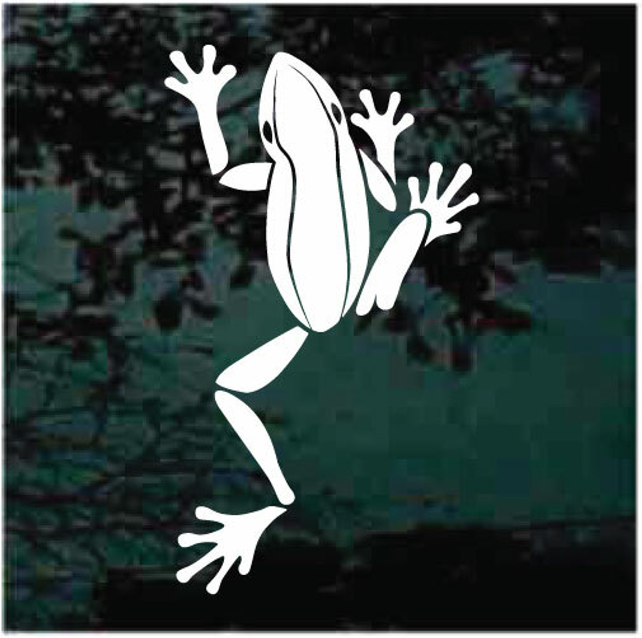 Frog Decals