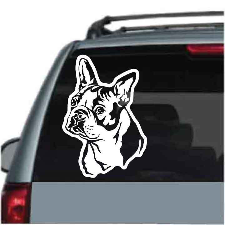 Boston Terrier Decals