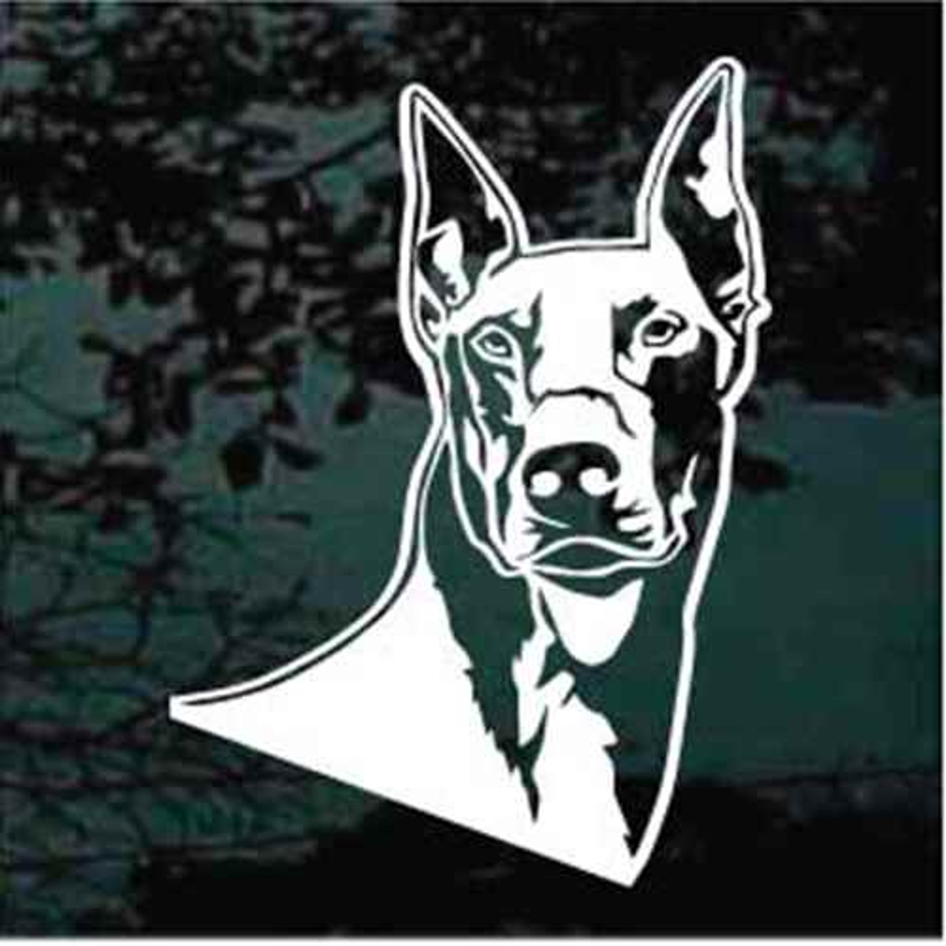 Handsome doberman head car decals  window stickers  decal junky Handsome doberman head car decals  window stickers  decal junky