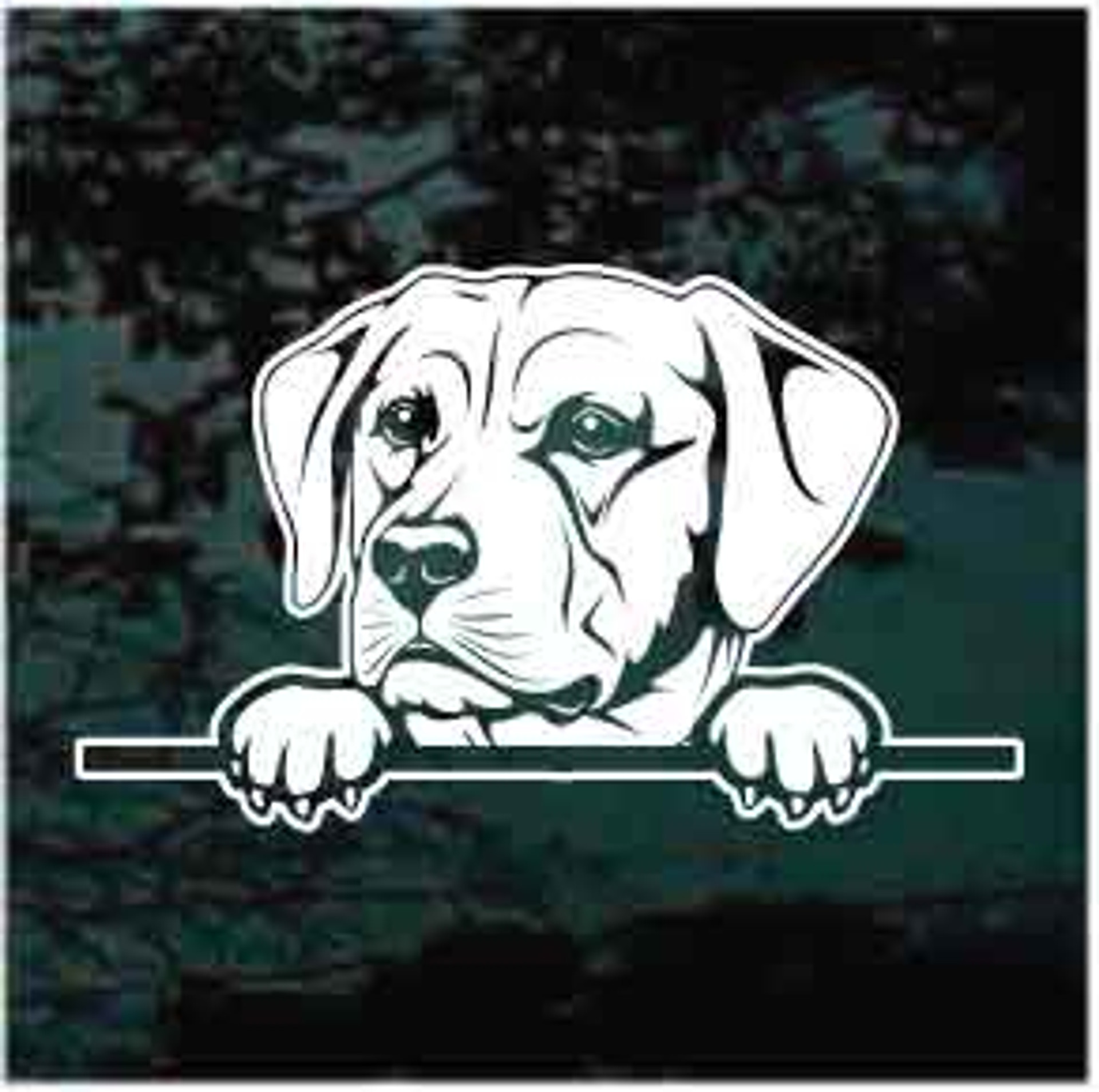 Labrador Retriever Puppy Peeking Car Window Decals Decal Junky