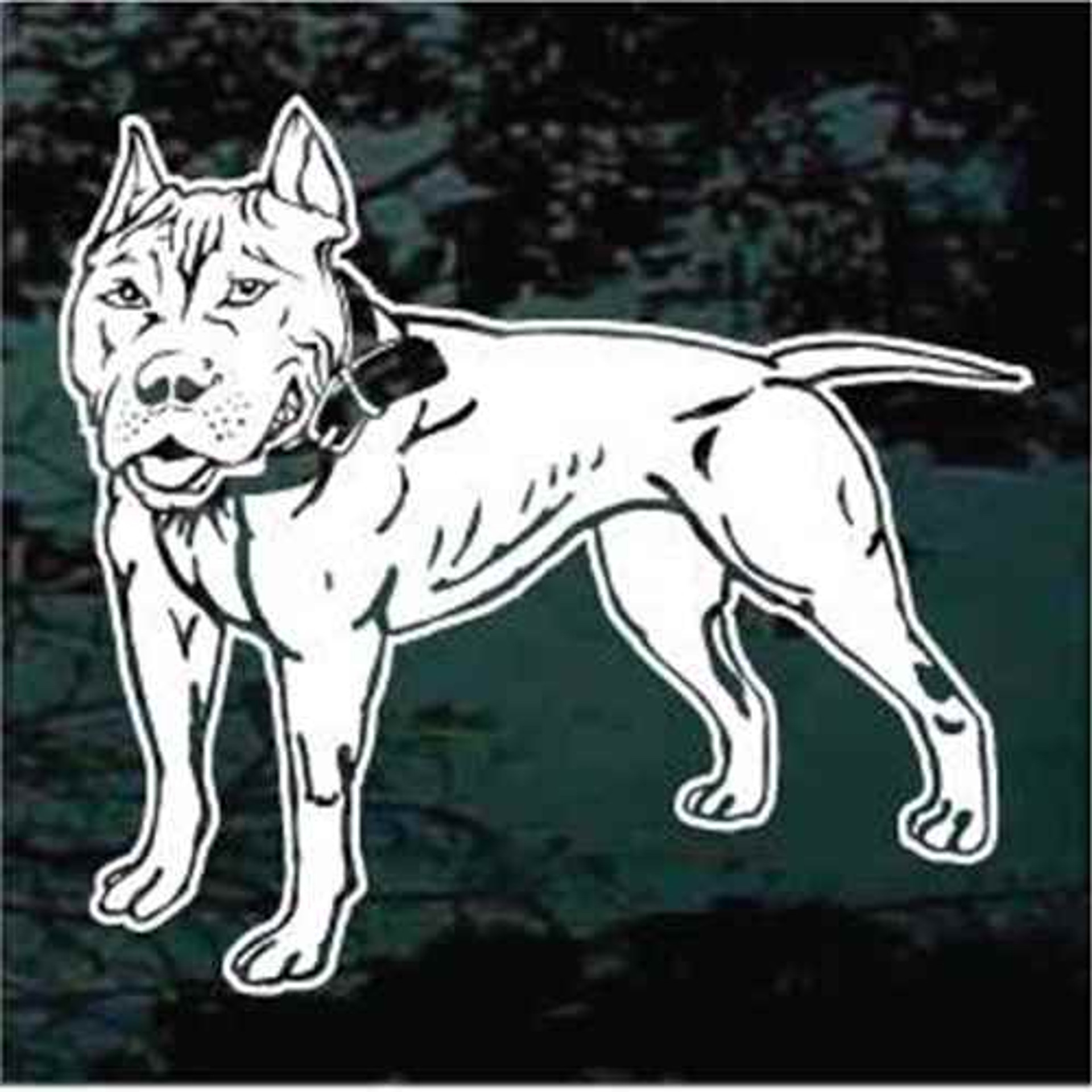 Muscular Pitbull Car Decals & Window Stickers Decal Junky