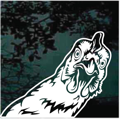 Funny Chicken Peeking Decals & Stickers Decal Junky