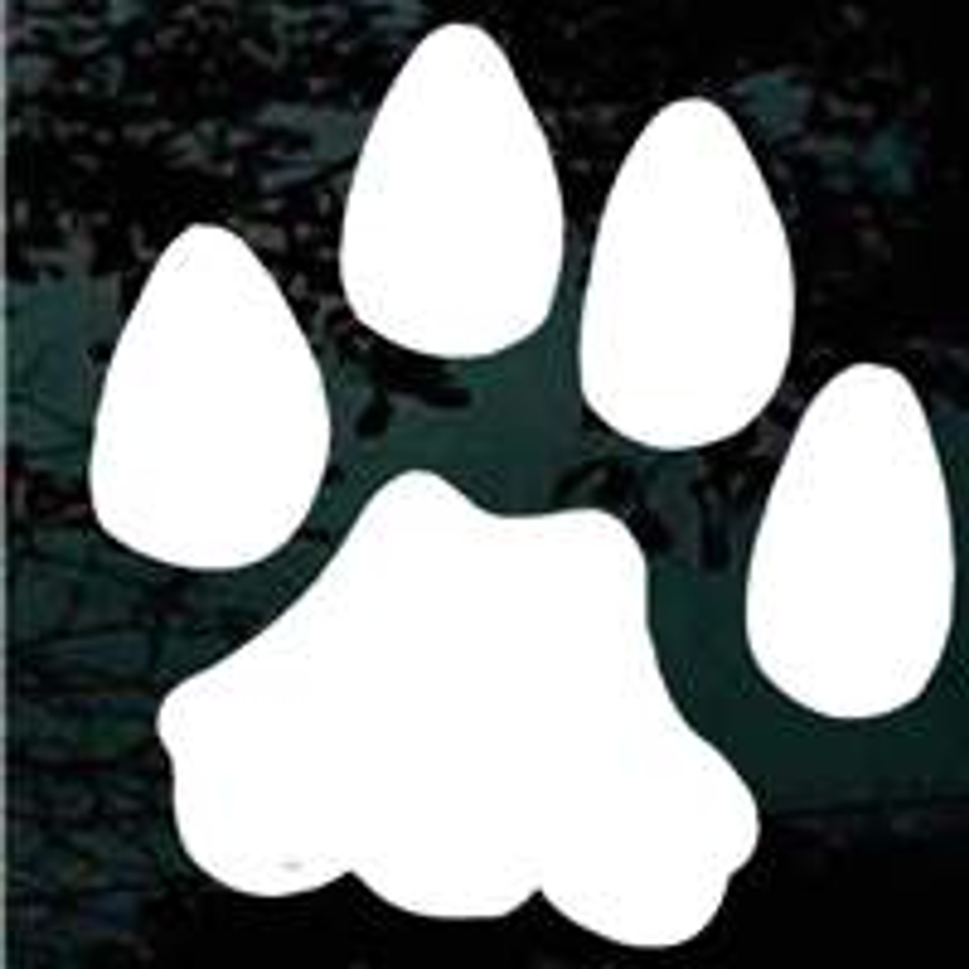 paw print window stickers