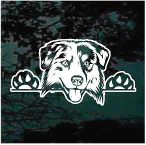 Australian Shepherd Peeking Decals & Stickers | Decal Junky