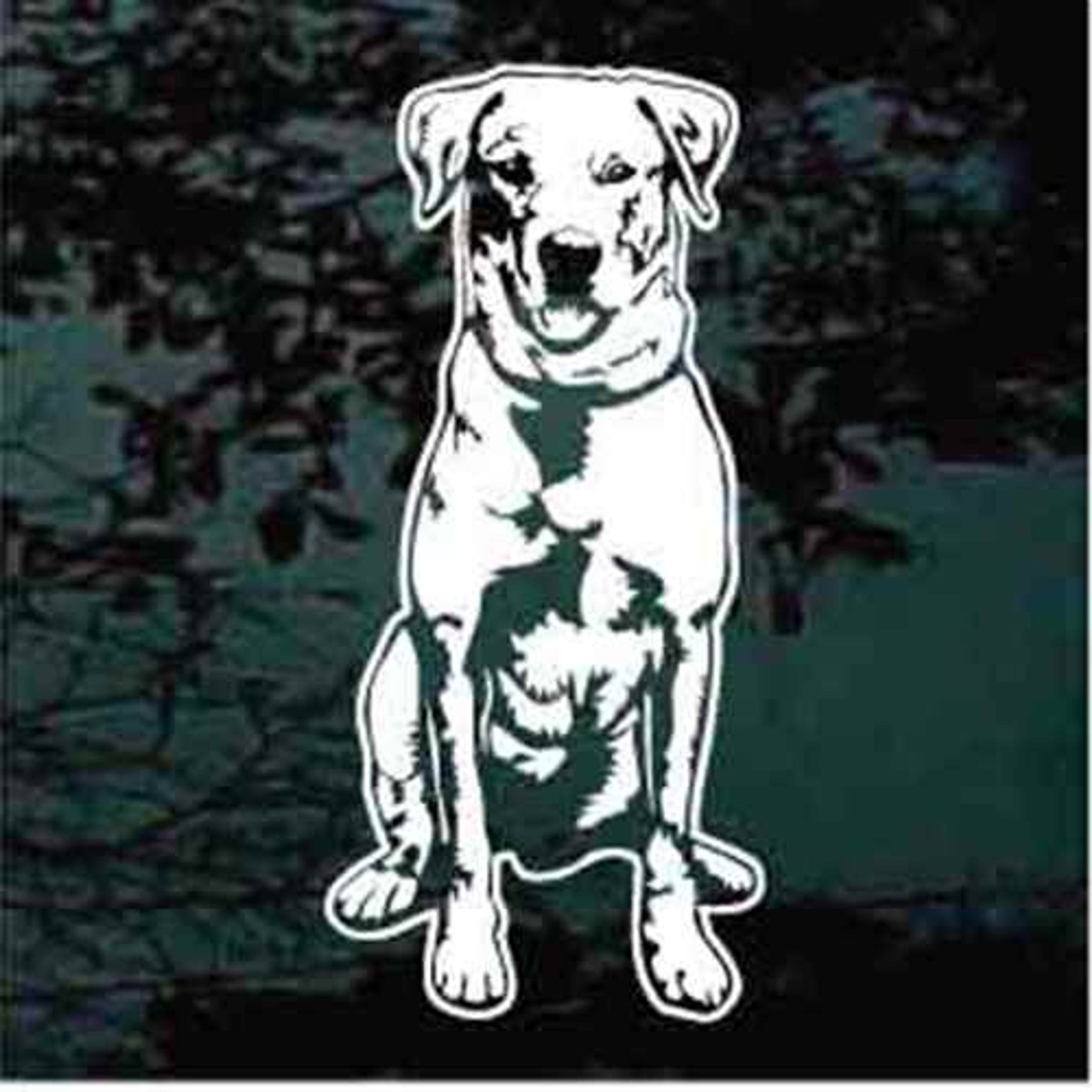 Labrador Retriever Sitting Decals & Car Window Stickers Decal Junky