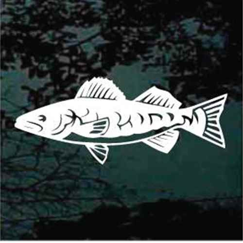 Walleye Fish Decal & Walleye Window Sticker