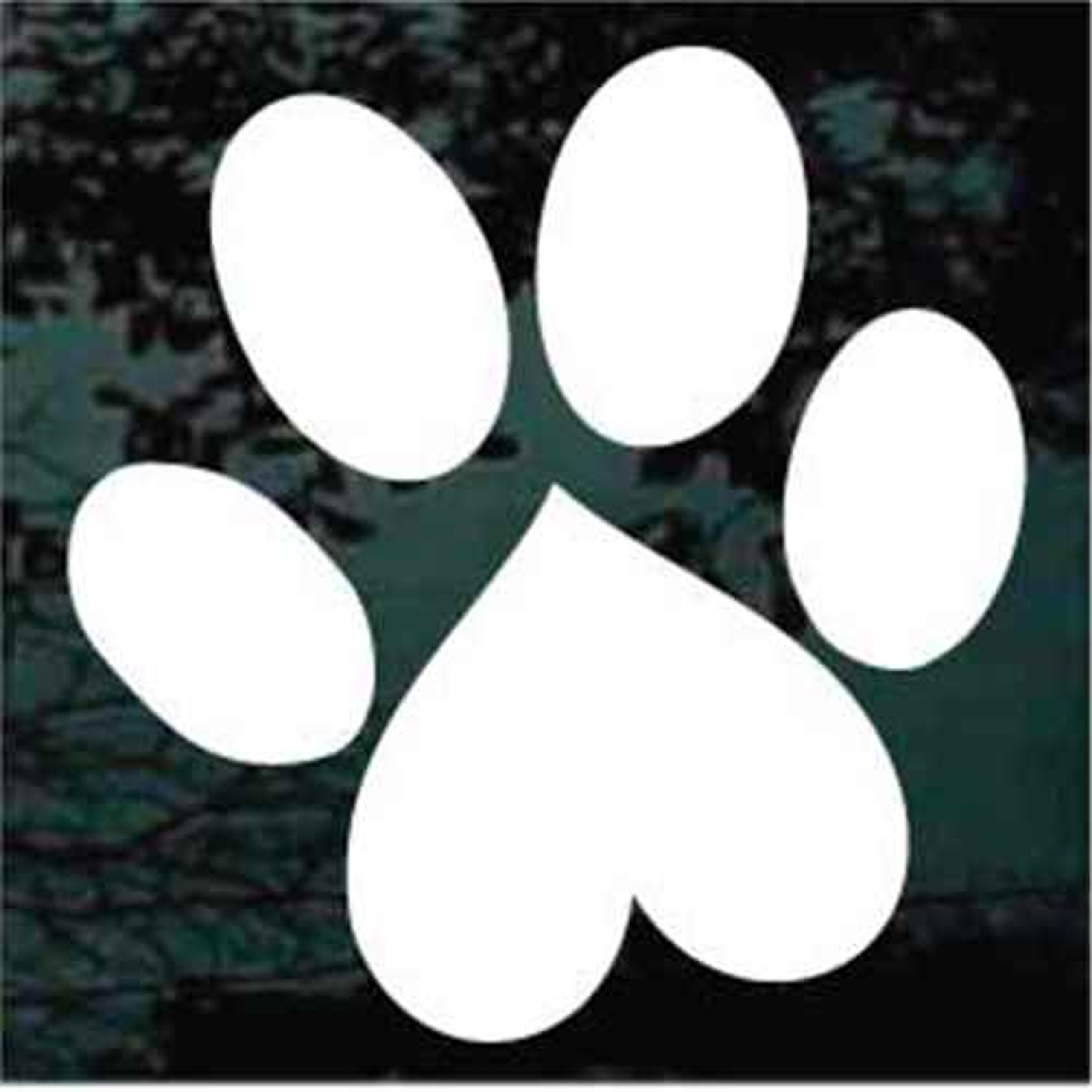 paw print window stickers