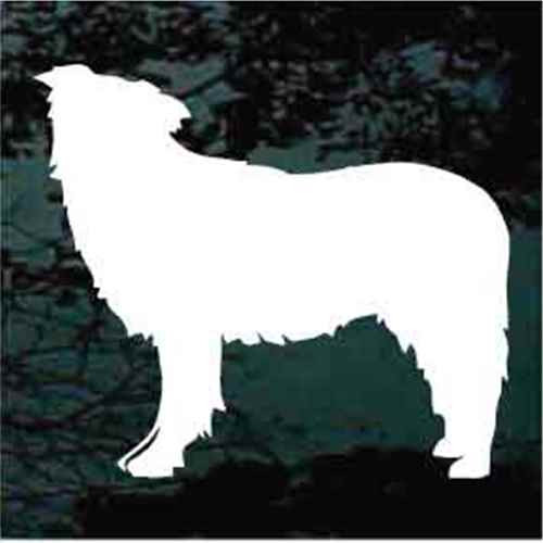 Border Collie Silhouette car window decals stickers