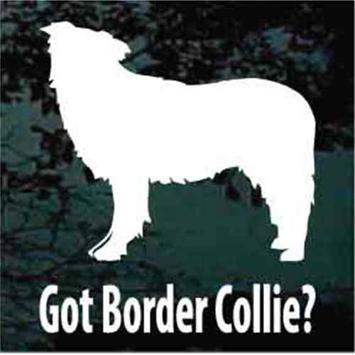 Got Border Collie? car window decals stickers