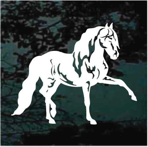 Accurate Andalusian Horse decals stickers