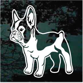Cute Boston Terrier Puppy car window decals stickers