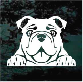 Solid Bulldog Peeking car window decals stickers