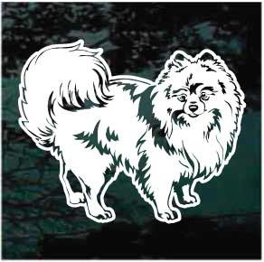 Cute Pomeranian car window decals stickers