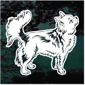 Sweet Long Haired Chihuahua car window decals stickers