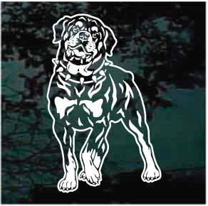 Rottweiler Wearing Spiked Collar car window decals stickers