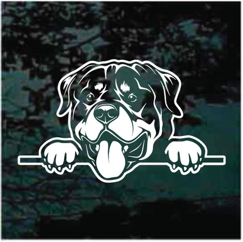 Rottweiler Peeking Out The Window car window decals stickers