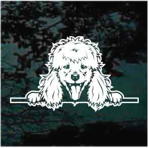 Happy Poodle Peeking car window decals stickers