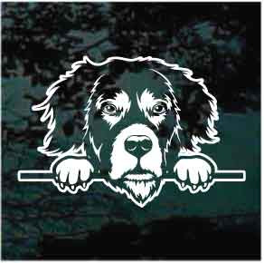 Bernese Mountain Dog Peeking car window decals stickers