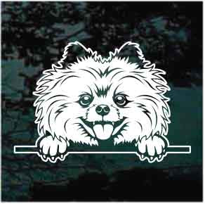 Pomeranian Peeking car window decals stickers