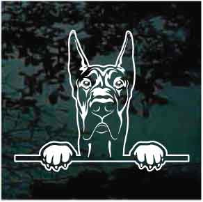 Peeking Great Dane car window decals stickers
